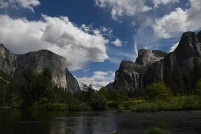 DSC_4345 (Large).JPG